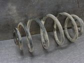 Rear coil spring