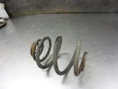 Rear coil spring