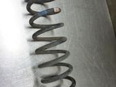 Rear coil spring