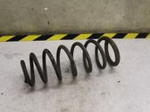 Feder hinten