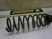 Rear coil spring