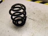 Rear coil spring