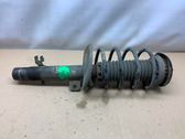 Front shock absorber with coil spring