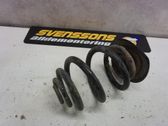 Rear coil spring