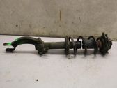 Front shock absorber with coil spring