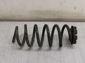 Rear coil spring