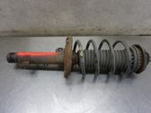 Front shock absorber with coil spring