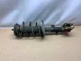 Front shock absorber with coil spring