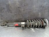 Front shock absorber with coil spring