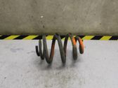 Feder hinten