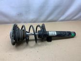 Front shock absorber with coil spring