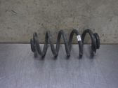 Feder hinten