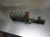 Front shock absorber with coil spring
