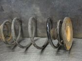 Rear coil spring