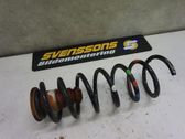 Rear coil spring