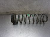 Feder hinten