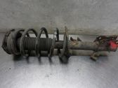 Front shock absorber with coil spring