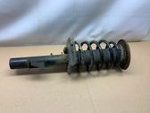 Front shock absorber with coil spring