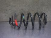 Feder hinten