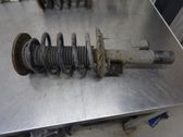 Front shock absorber with coil spring