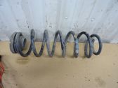 Rear coil spring