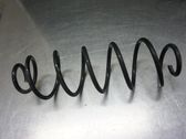 Rear coil spring
