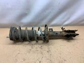 Front shock absorber with coil spring