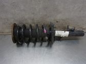Front shock absorber with coil spring