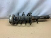 Front shock absorber with coil spring