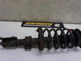 Front shock absorber with coil spring
