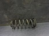 Feder hinten