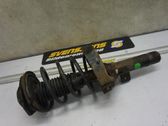Front shock absorber with coil spring