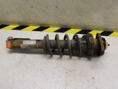 Stoßdämpfer hinten