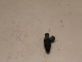 Injecteur de carburant