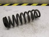 Rear coil spring