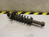 Rear shock absorber/damper