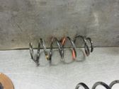 Feder hinten
