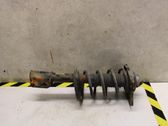 Front shock absorber with coil spring