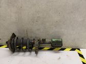 Front shock absorber with coil spring