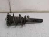 Front shock absorber with coil spring