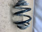 Rear coil spring