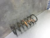 Feder hinten