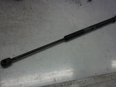 Tailgate strut