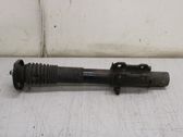 Front shock absorber/damper