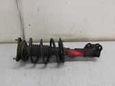 Front shock absorber with coil spring