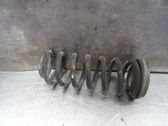 Muelle espiral trasero