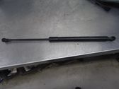 Tailgate strut