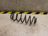 Feder hinten