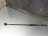 Tailgate strut
