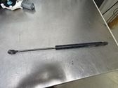 Tailgate strut